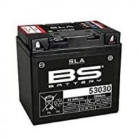 53030 (FA) Factory Filled SLA BS Battery