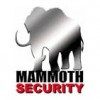 Mammoth Security