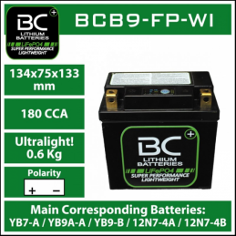 BCB9-FP-WI Lithium Battery